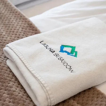 Z Jedna Sypialnia D09 * Zarzecze (Silesia)